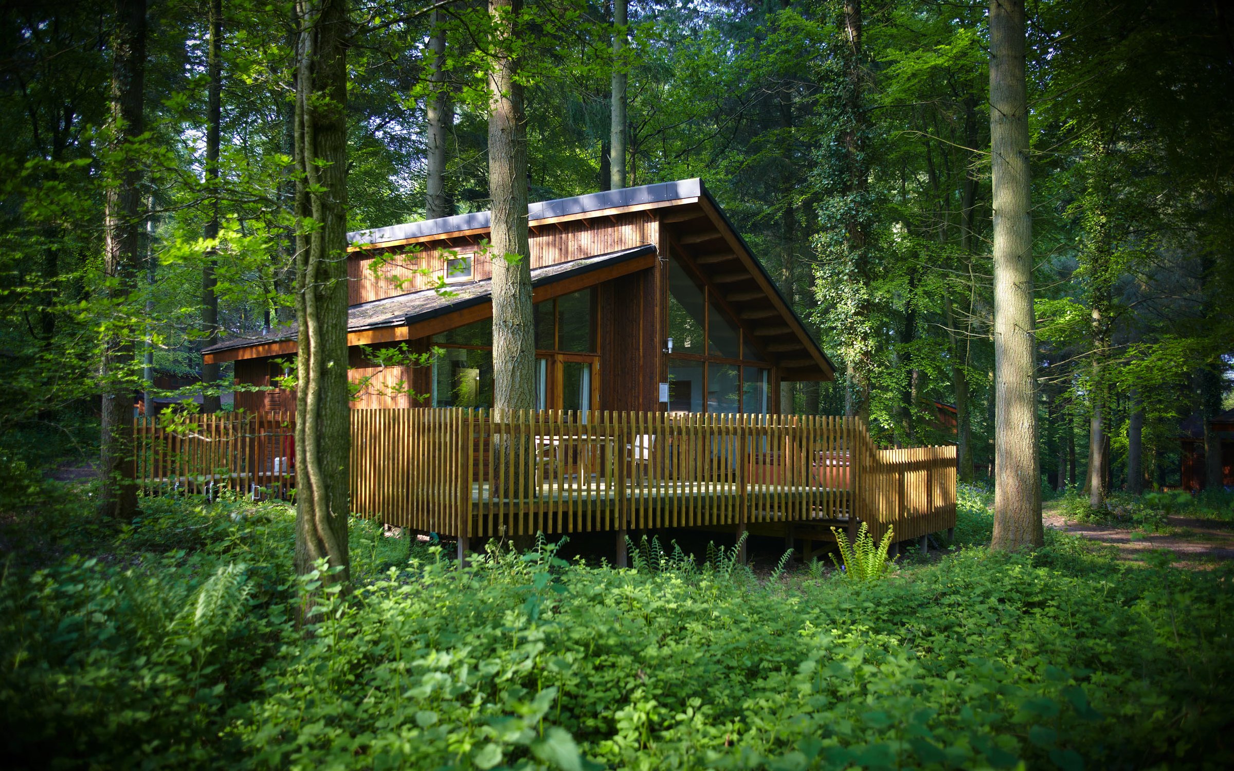 Forest Holidays At The Forest Of Dean Forestry England