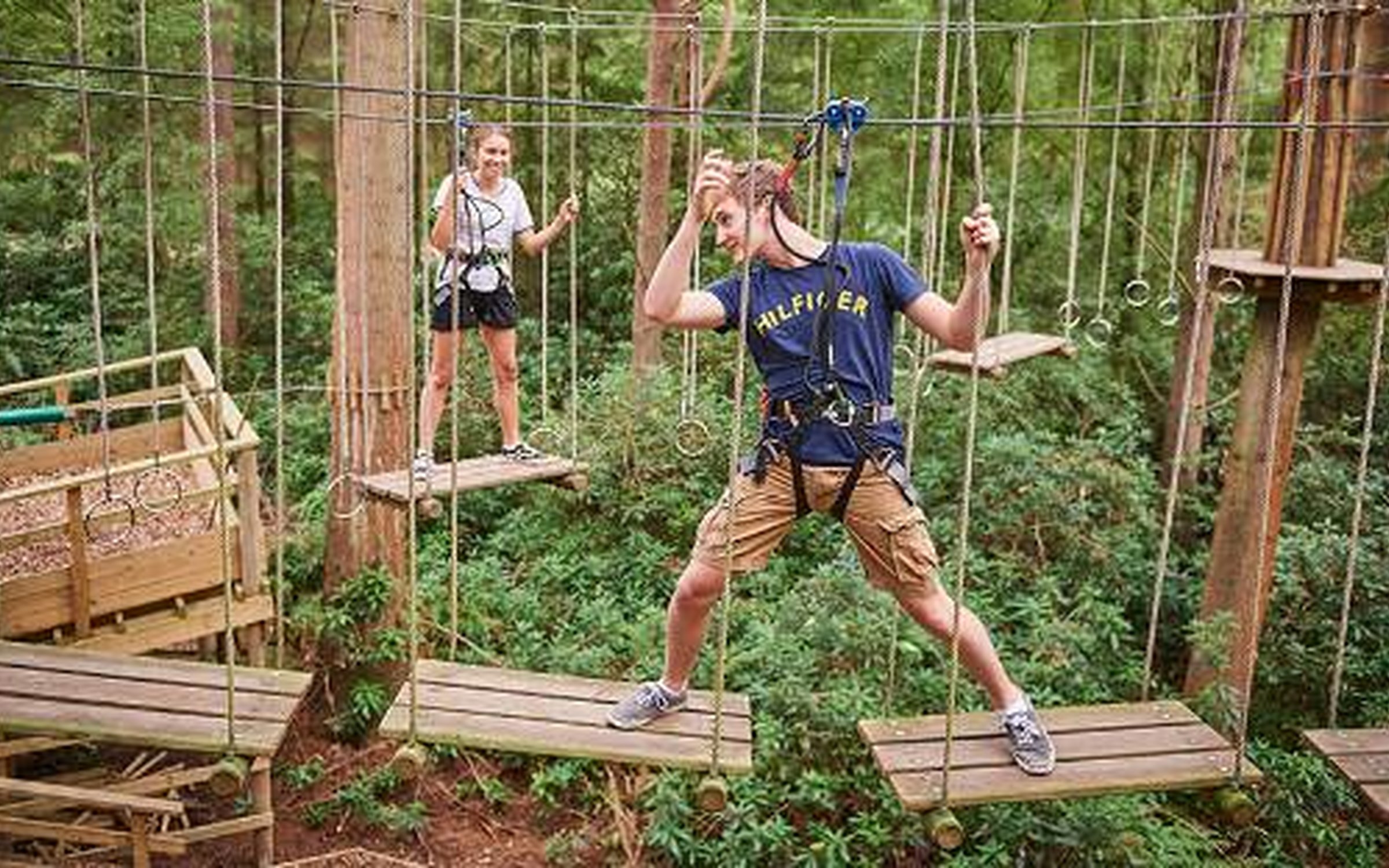 Go Ape Tree Top Challenge Forestry England