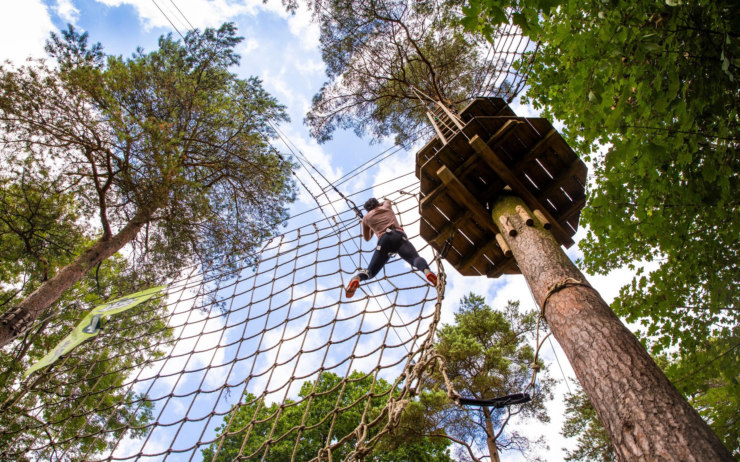 Go Ape Tree Top Adventure Forestry England