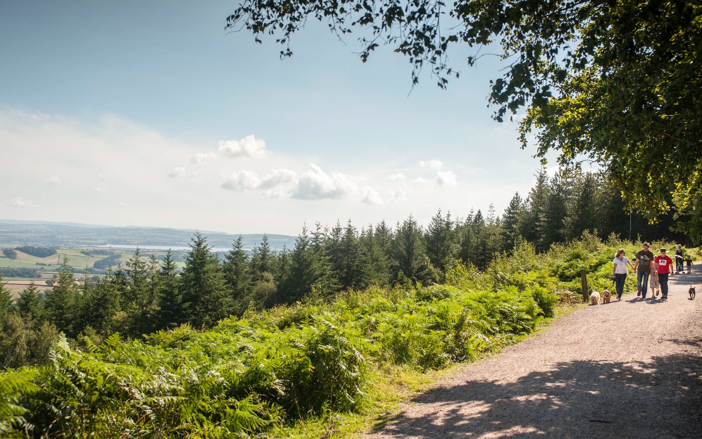 haldon hill mountain biking