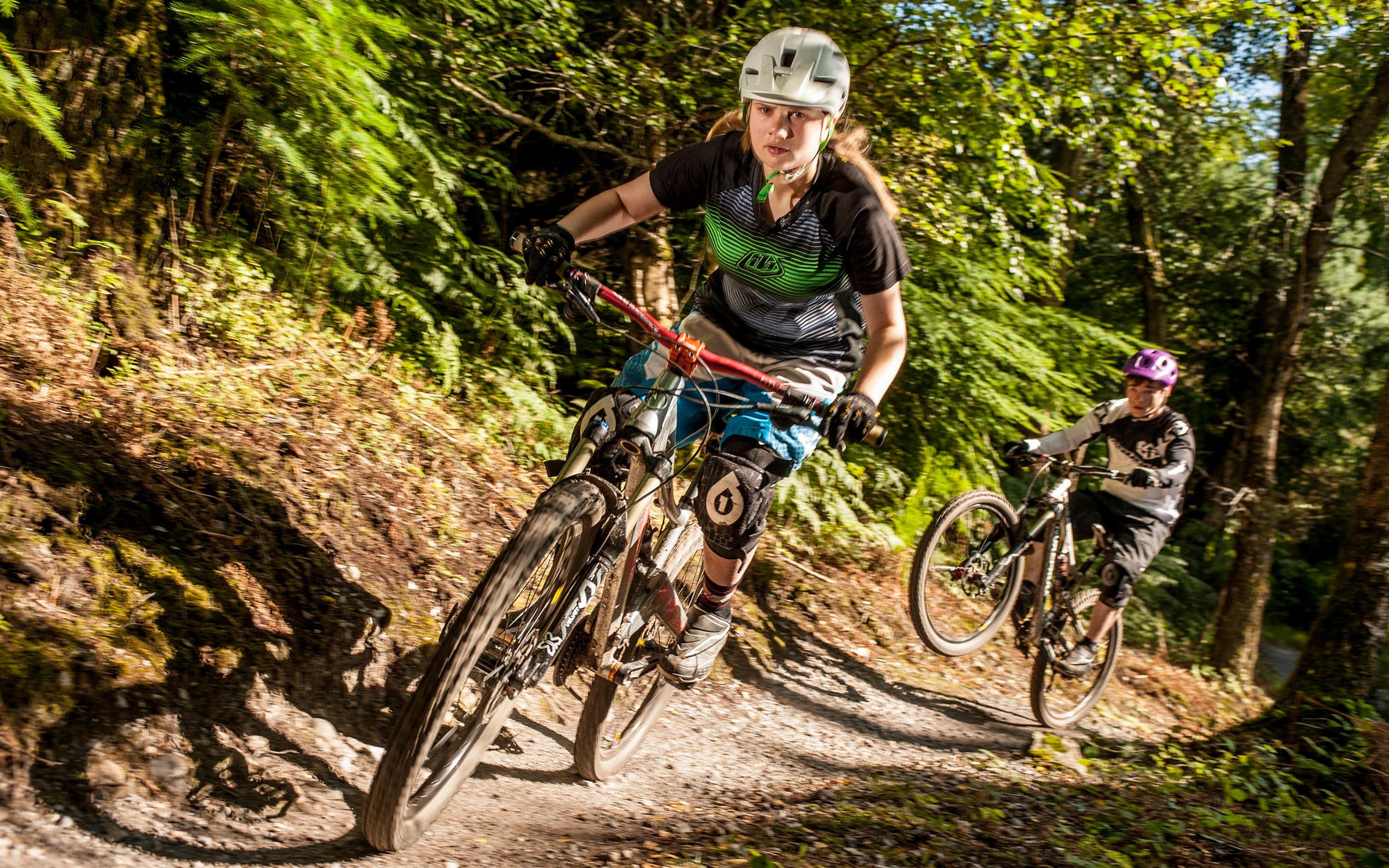 Cycling And Mountain Biking Trails At Haldon Forest Park