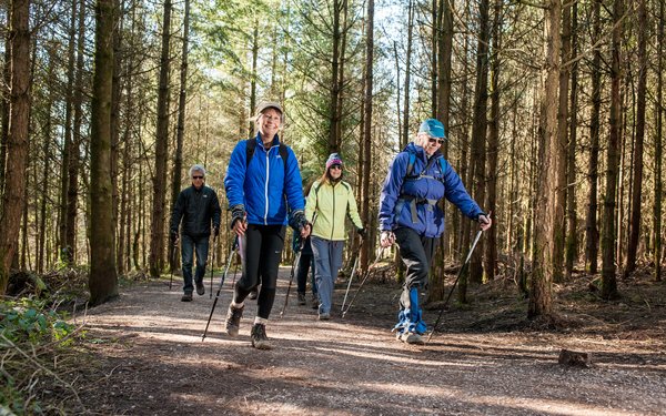 Mortimer forest 2025 mtb