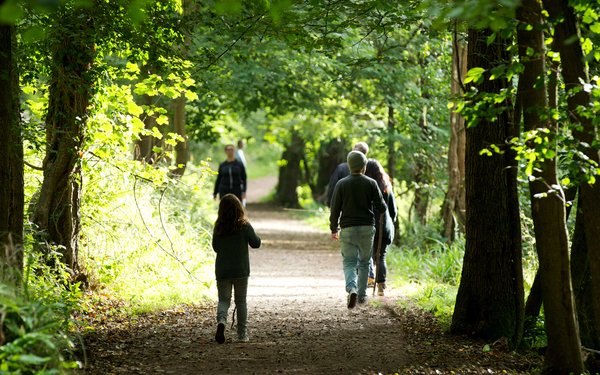 Havant Thicket | Forestry England