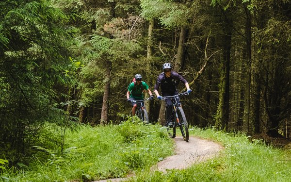 Hicks Lodge Forestry England
