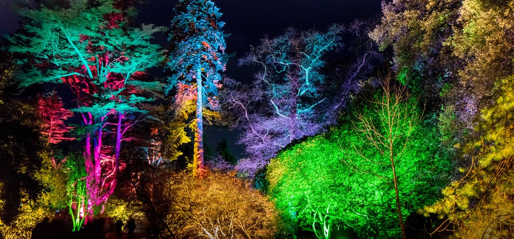 Enchated Christmas Westonbirt