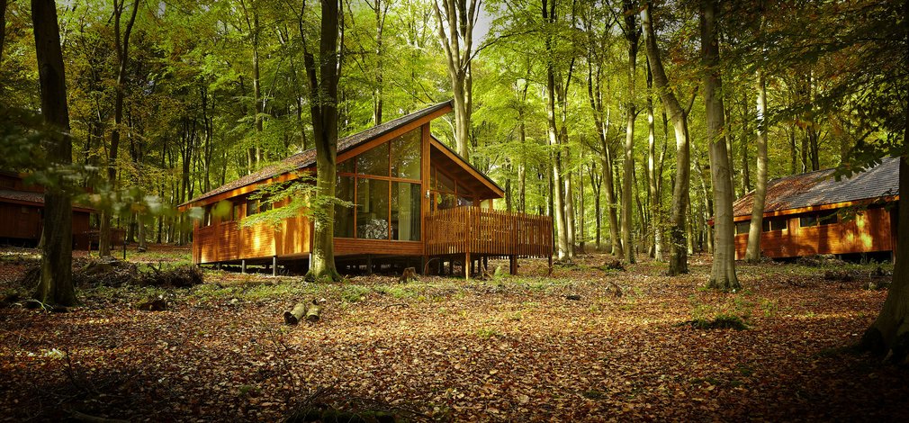 Autumn at Blackwood Forest - Forest Holidays