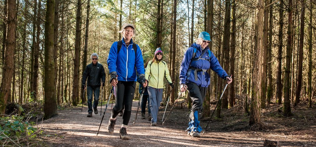 People enjoying Nordic Walking in the forest