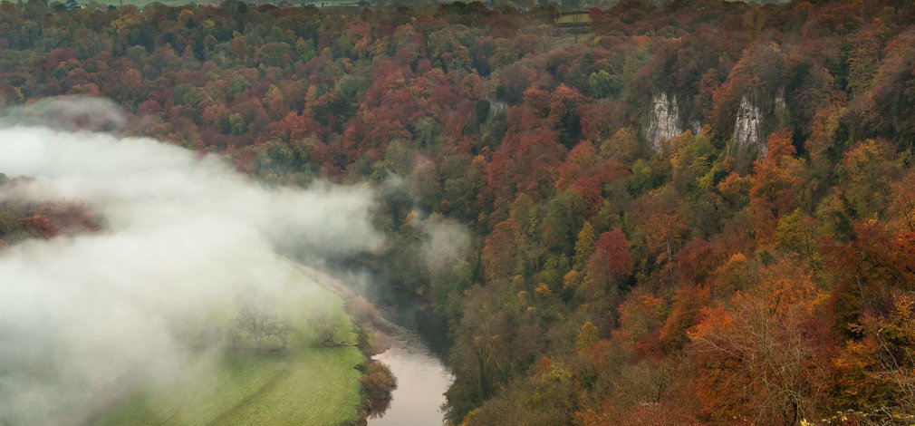 Our Top Autumn Walks Forestry England