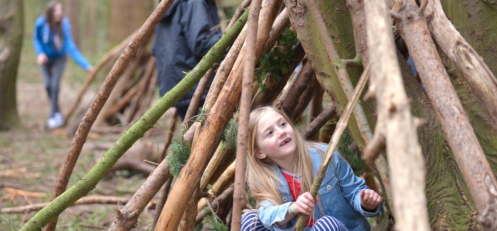 Children building dens in the forest