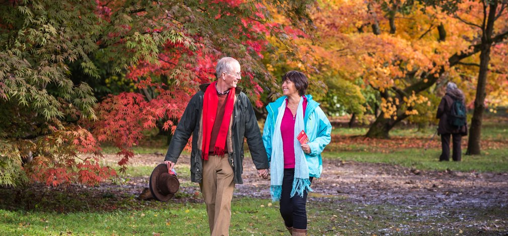 Couple walking in autumn