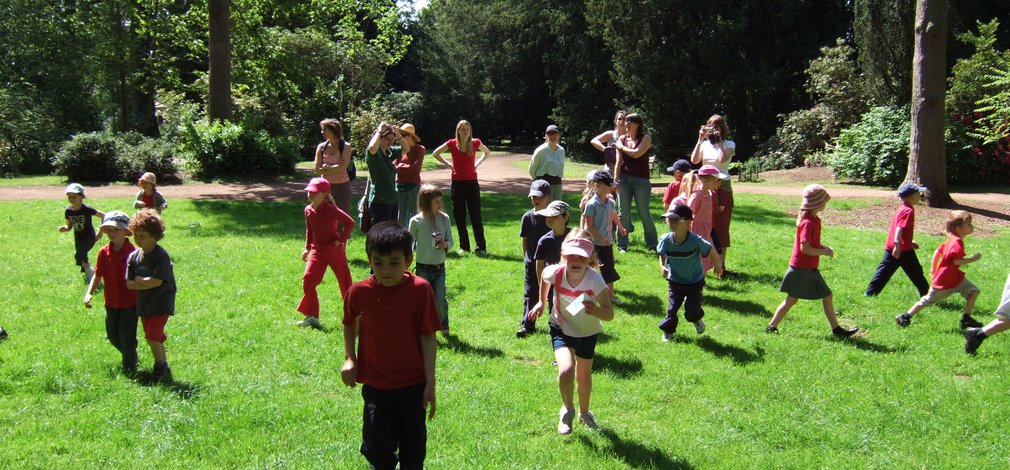 Children playing in the woods