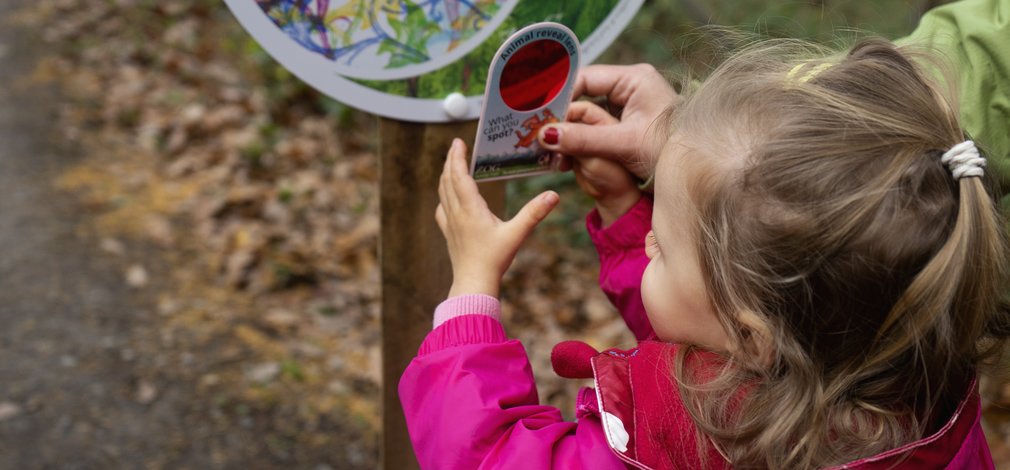 Zog Trail Reveal Panel