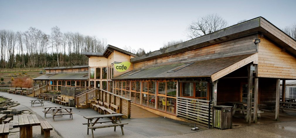 Cafe at Bedgebury