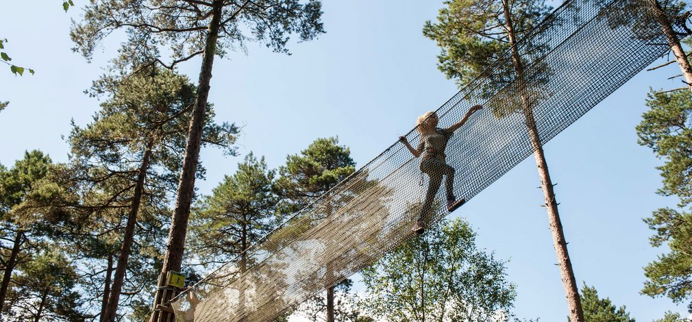 Person on a net walk