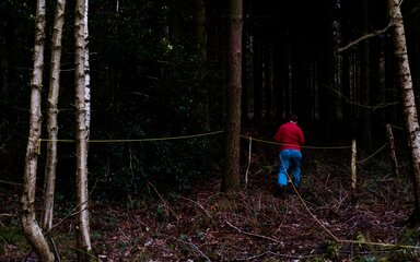 A person in the forest with a yellow thread tied across multiple trees