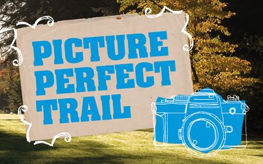 Picture Perfect Trail Landscape