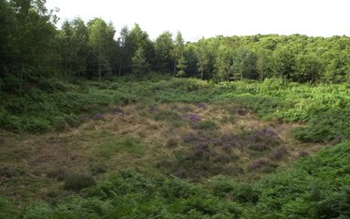 Maulden Wood
