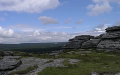 Rough tor