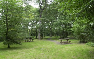 Abbeyford picnic area