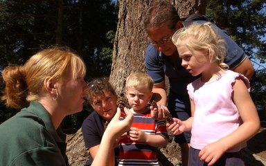 A member of staff, crouching, shows a pine cone to two adults and two children