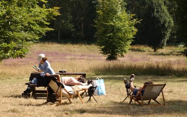 Sun bathing