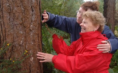 Man and woman observing the texture of a tree