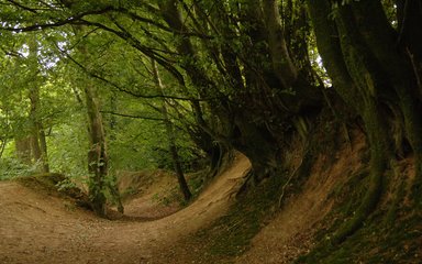 The motte and bailey at Castle Neroche in the Blackdown Hill