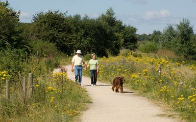 Couple on dog walk along easy access trail 