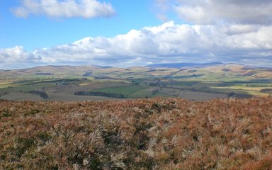 View of Cheviots from Thrunton Woods red walking trail, Rothbury