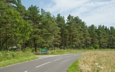 Stockhill Wood