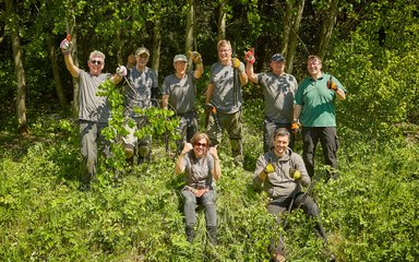 Group volunteering in the forest clearing woodland 