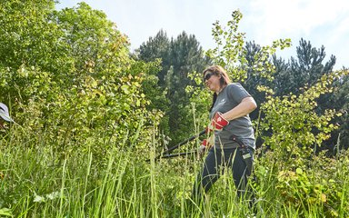 Woman volunteering, clearing forest shrubs 