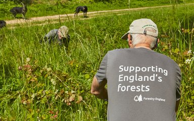 Close up of the Forestry England volunteering tshirt