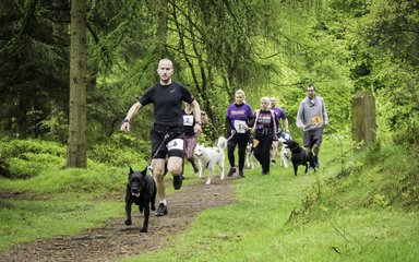 Running event in the forest