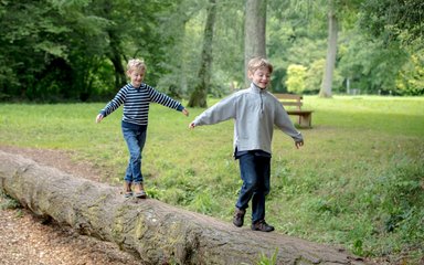 Children playing on a log in a forest meadow