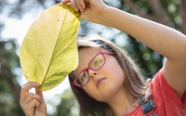 Looking closely at a leaf