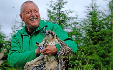 Staff holding an osprey chick with an identification ring on its leg