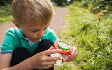 Boy looking into a bug pot