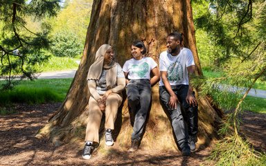 Three adults smiling leaning on a large tree trunk