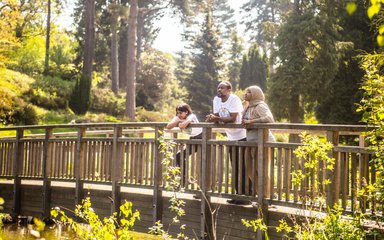 Three adults stand together on a bridge in the forest