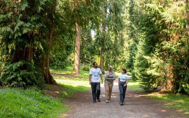 Three adults walk through the forest chatting and smiling