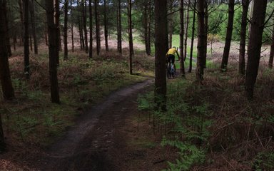 Cyclist rides the beater trail