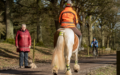 Horse rider in orange high vis slowly trotting past a walker in the forest