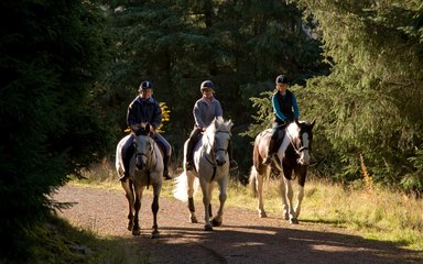 Horse riding at Whinlatter