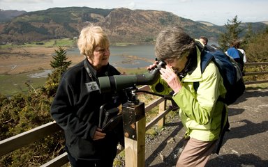 Dodd Wood osprey viewpoint