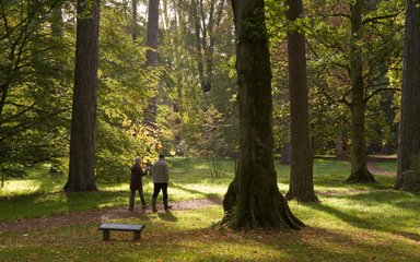 Couple walking through the forest