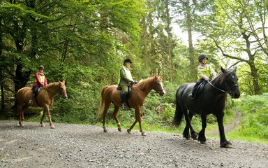 Horse riding on gravel tracks