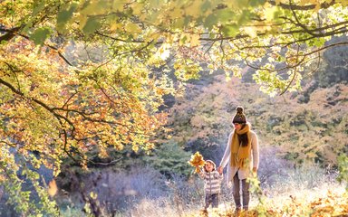 Walking in trees