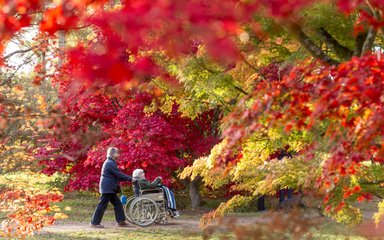 2 people in forest