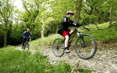 Whinlatter family biking